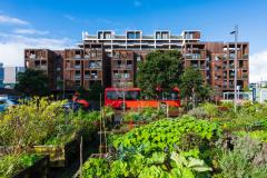  Depuis quelques années, l’immobilier neuf fait la part belle aux espaces verts. © nazar_ab – Getty Images