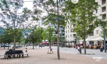 La Confluence de Lyon, laboratoire de la ville durable du 21e siècle