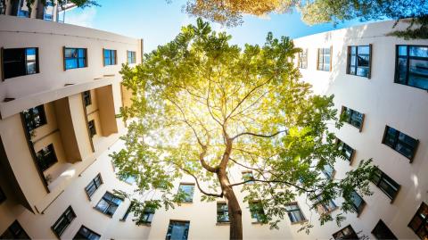 Cour d'un immeuble récent 