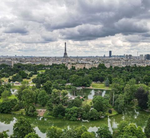 Vues sur le Bois de Boulogne