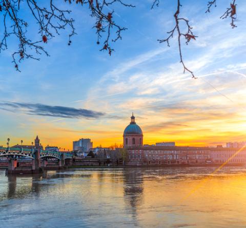 Vue de la ville de Toulouse, du dôme de la Grave et de la Garonne. 